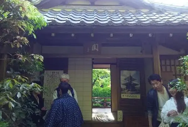 高桐院の写真・動画_image_131506