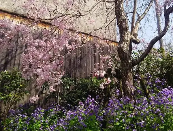 季節の花や木々も美しい