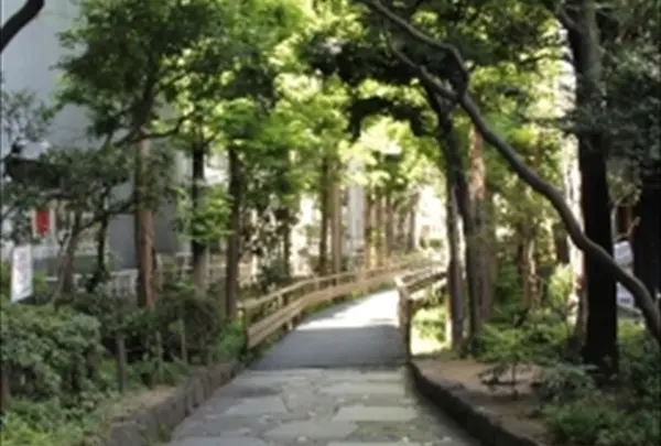 新宿遊歩道公園 四季の路