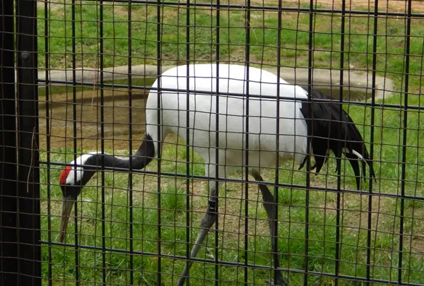 岡山後楽園の写真・動画_image_125373