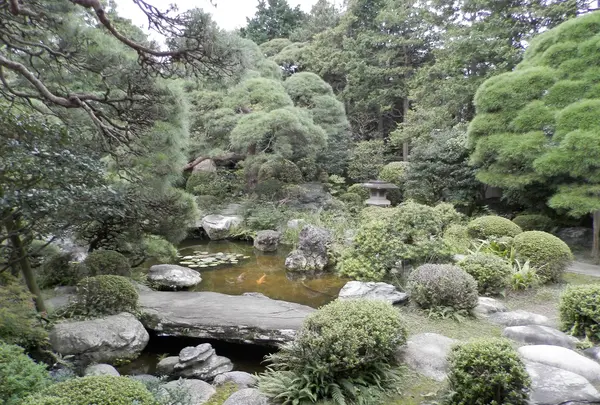 主庭