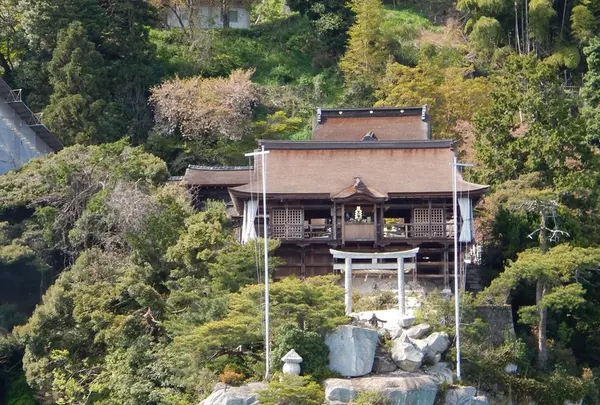 都久夫須麻神社の写真・動画_image_133919