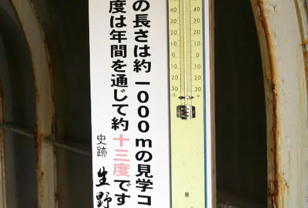 年間を通じて13度