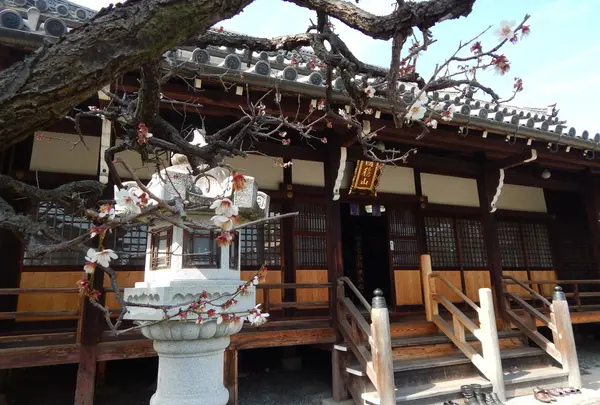 浄安寺の写真・動画_image_121559