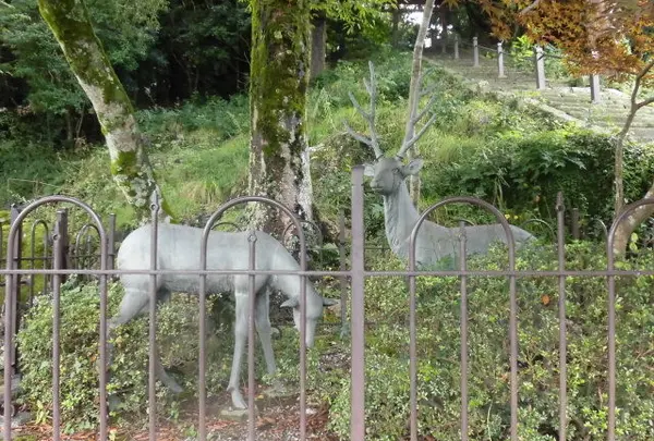 奈良のような雰囲気。