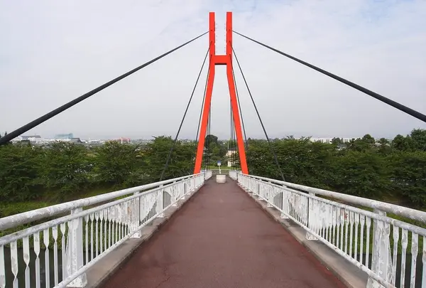 自転車天国