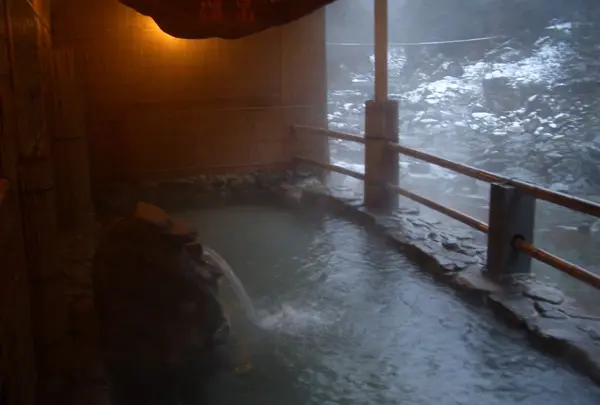 和の宿 ホテル祖谷温泉 Hotel Iyaonsenの写真・動画_image_128242