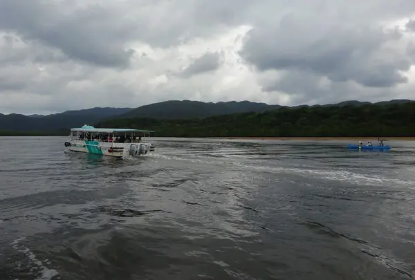 仲間川マングローブクルーズ（西表島）