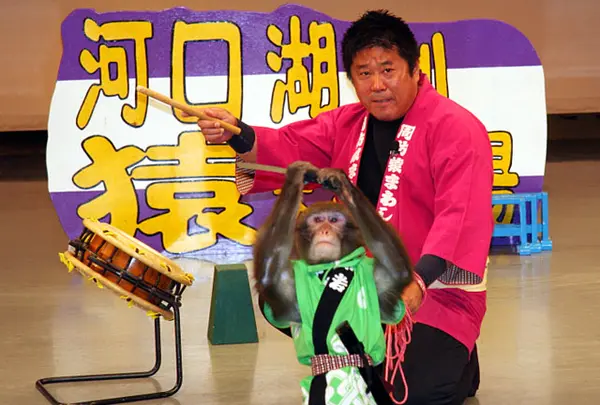 富士お猿の里・河口湖猿まわし劇場