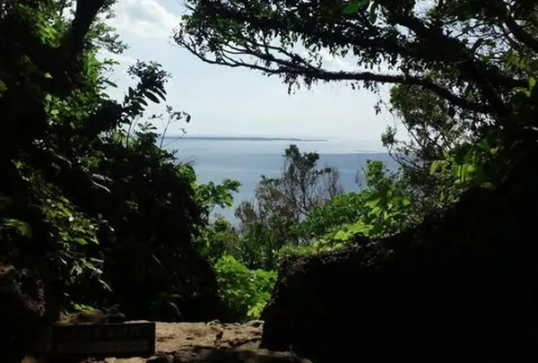 斎場御嶽の写真・動画_image_413832