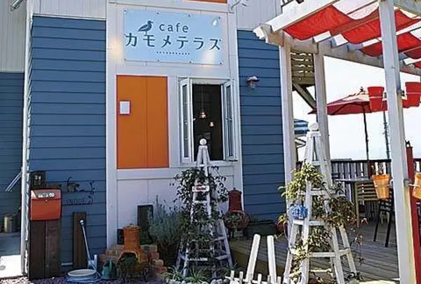 カモメテラス