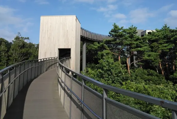 別所岳スカイデッキ 能登ゆめてらすの写真・動画_image_216291