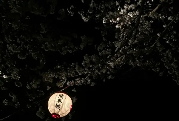 写真だとイマイチですが。。。