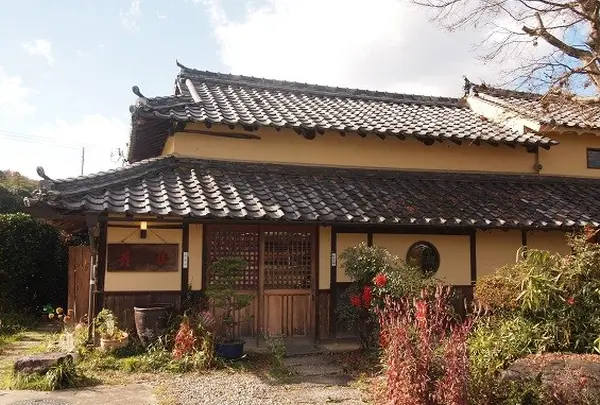 藪椿