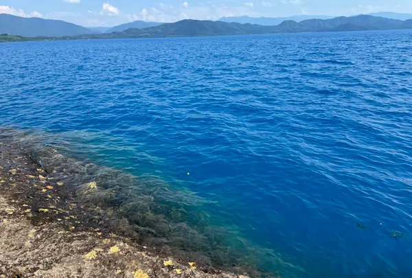 田沢湖の写真・動画_image_1617790
