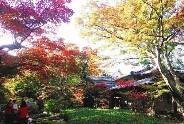 大本山天龍寺塔頭 「大亀山 宝厳院（ほうごんいん）」