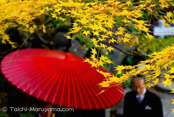 八芳園