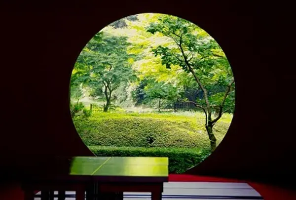 明月院(あじさい寺)