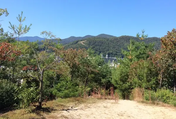 頂上から「大」を望む