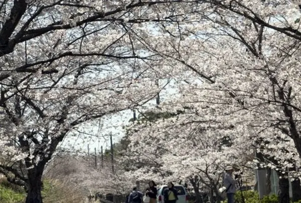 垣生公園