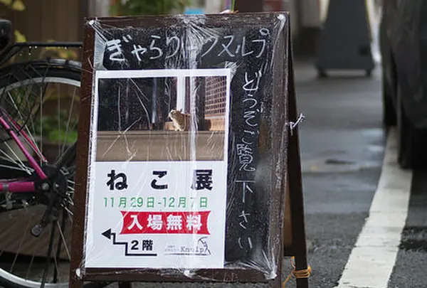 ぎゃらりーKnulp
