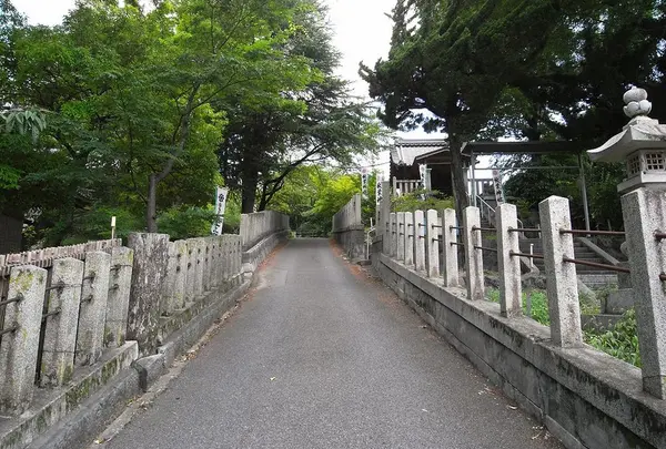 迷わず上がれ