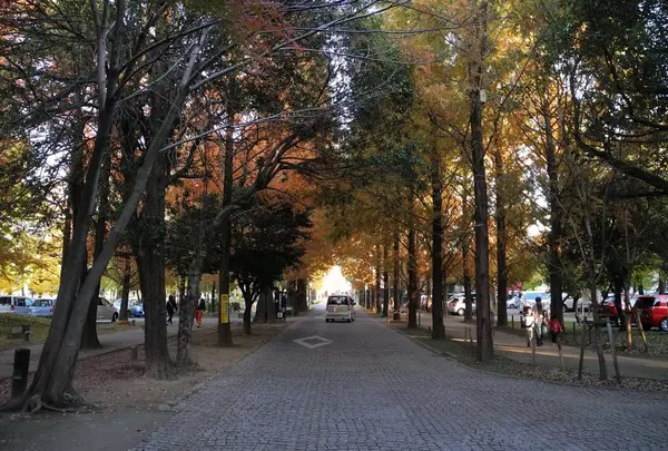 学びの森の写真・動画_image_21670