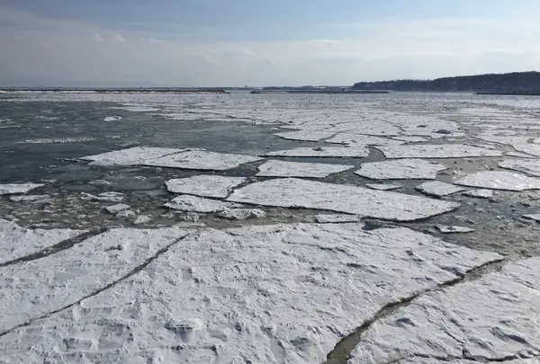 湾内の様子①