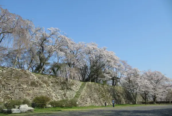 本丸の櫓群跡の石垣