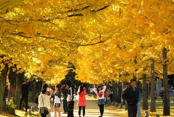 学びの森の写真・動画_image_127948