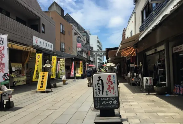水前寺成趣園周辺