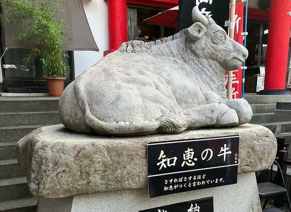 さすってさすって！