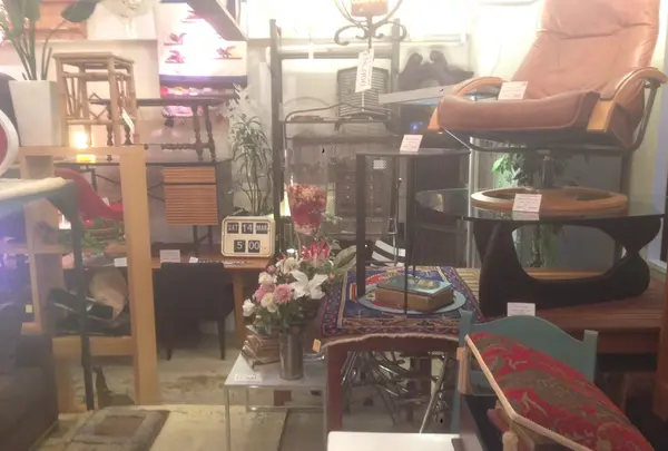 雑多な店内