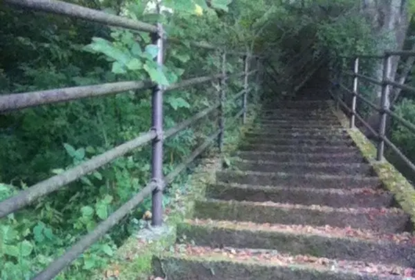いつまで続くどんぐり坂は!