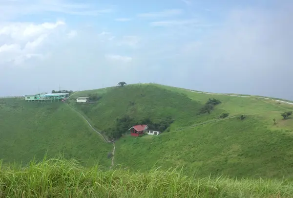 大室山の写真・動画_image_42065