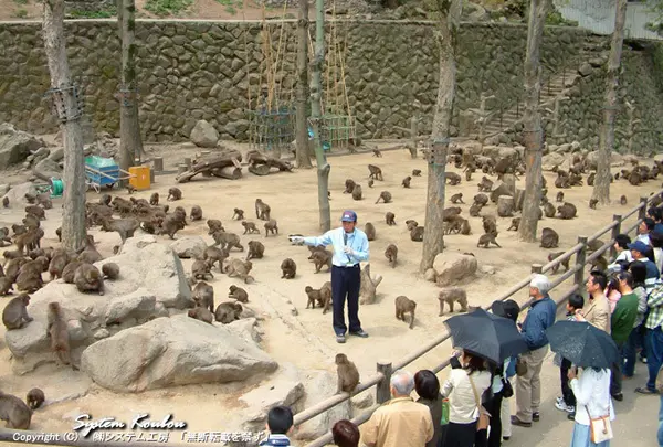 高崎山自然動物園