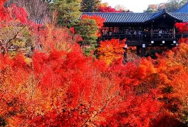 東福寺