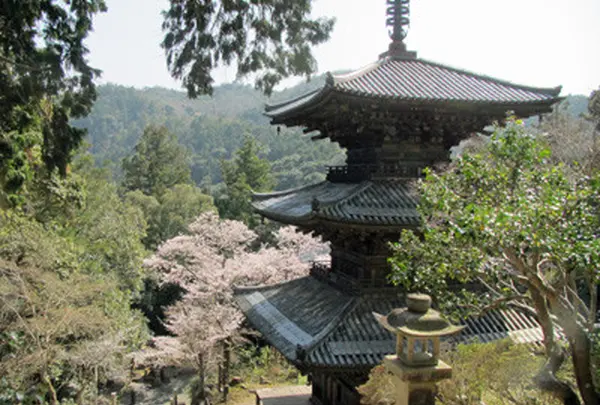 法華山一乗寺