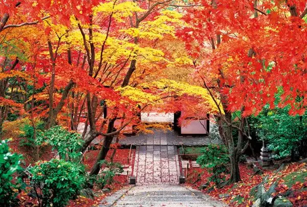 常寂光寺