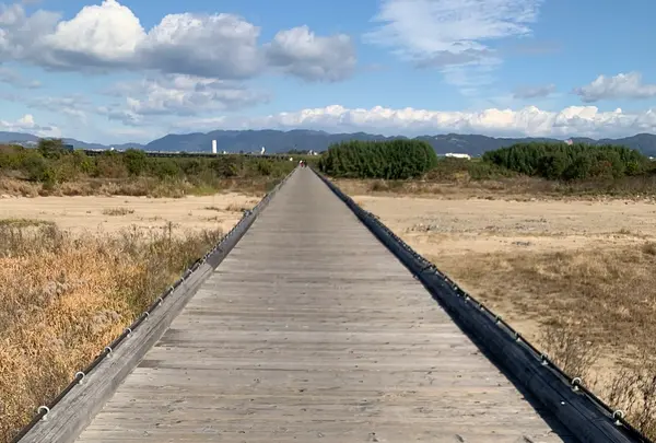 流れ橋（上津屋橋）