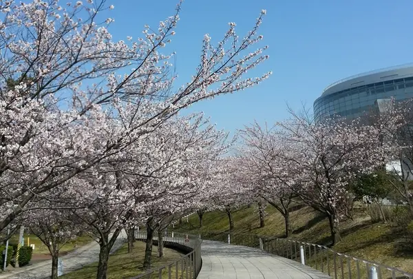 白山公園