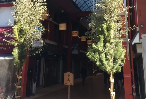 浅草西参道商店街の写真・動画_image_210768
