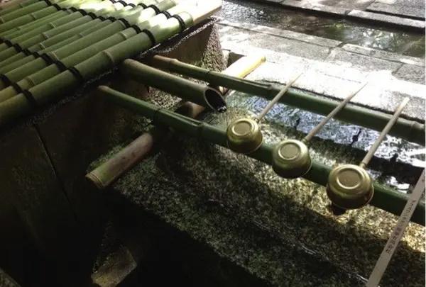 京都三名水・染井