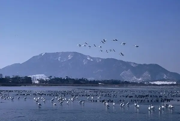 佐潟公園