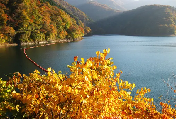 奥多摩湖 Okutama Lake