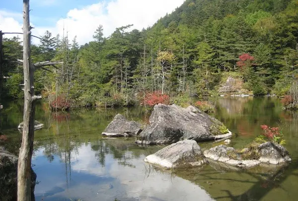 上高地の写真・動画_image_205358
