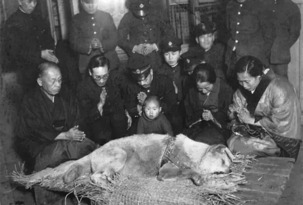 忠犬ハチ公生家