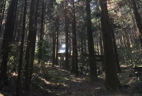 見上げれば