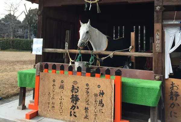 上賀茂神社（賀茂別雷神社）の写真・動画_image_56649