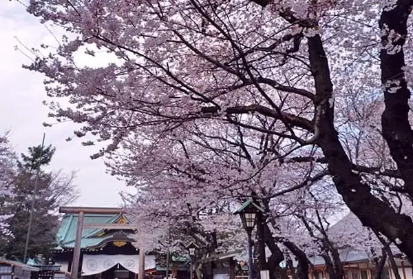 靖国神社